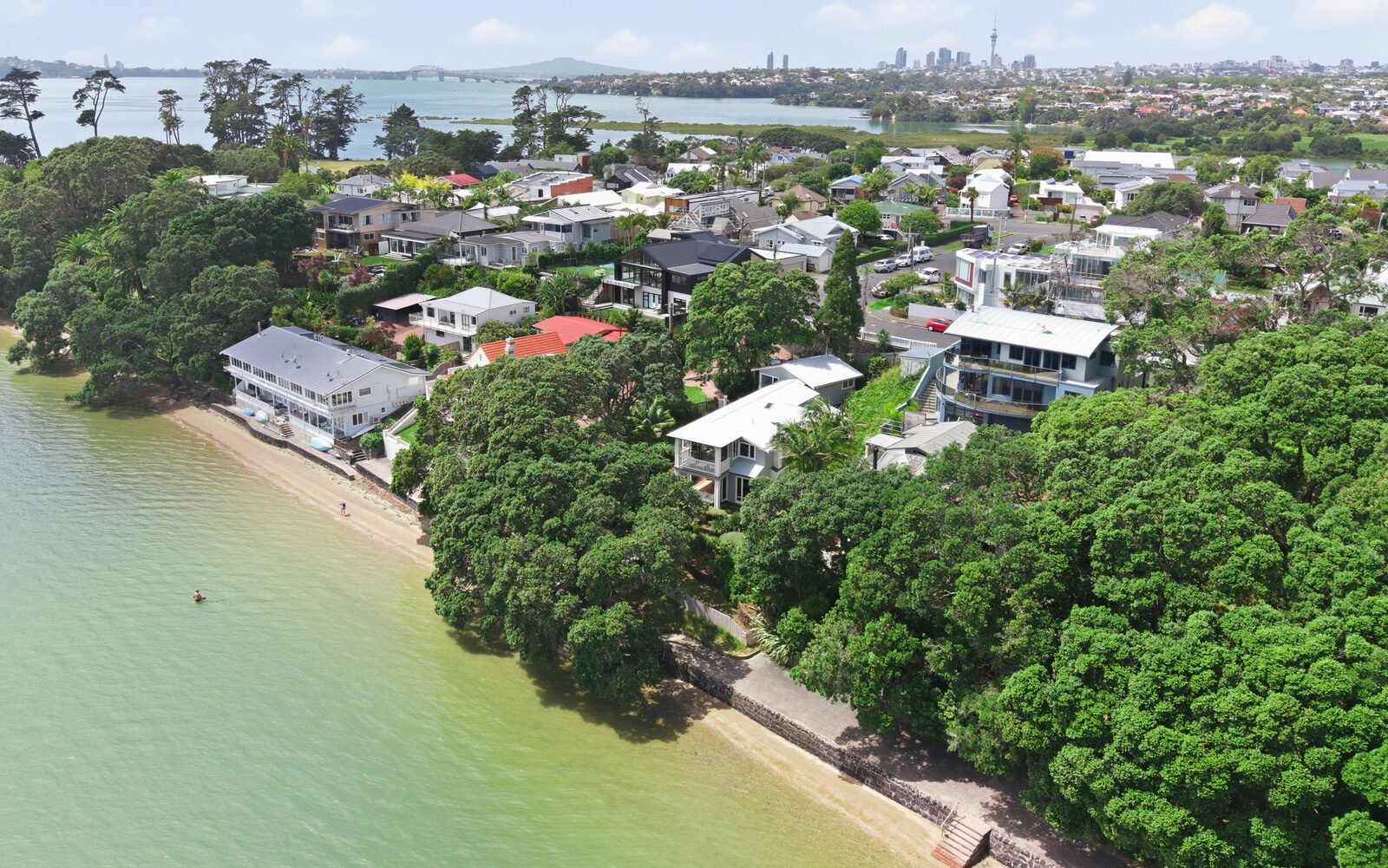 Aerial view across an established Auckland waterfront neighbourhood towards the city skyline -->